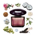 Mùi Hương Nước Hoa Nữ Versace Crystal Noir