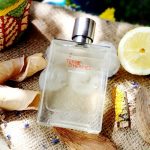 Nước Hoa Mùa hè Nam Hermès Terre d'Hermès Eau Givrée