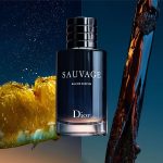 Nước Hoa Nam Dior Sauvage Eau de Parfum