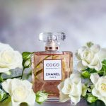 Nước Hoa Nữ Chanel Coco Mademoiselle Intense