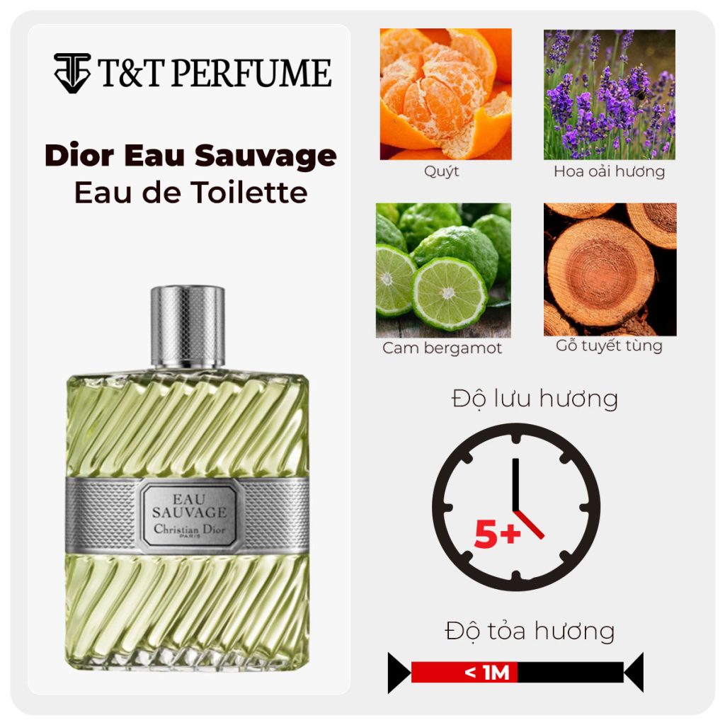 Review Nước Hoa Dior Eau Sauvage EDT