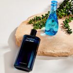 Review Davidoff Cool Water For Men