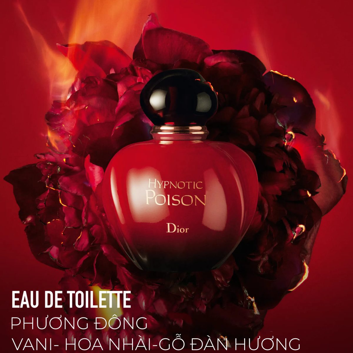 Review mùi hương Nước Hoa Nữ Dior Hypnotic Poison Eau de Toilette