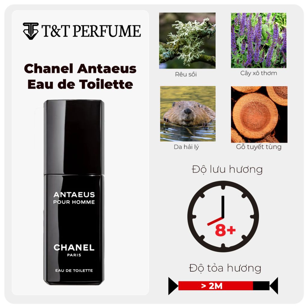 Review Nước Hoa Chanel Antaeus