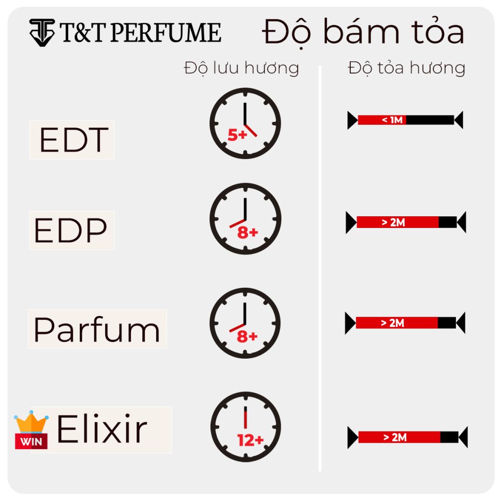 So Sánh Độ Bám Tỏa Dior Sauvage EDT vs EDP vs Parfum Vs Elixir