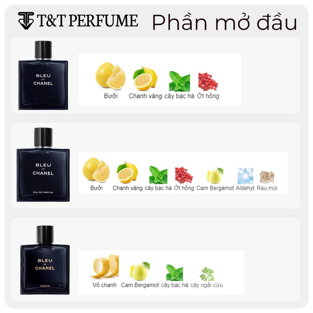 So Sánh Mùi Hương Đầu Của Nước Hoa Bleu de Chanel EDT vs EDP vs Parfum