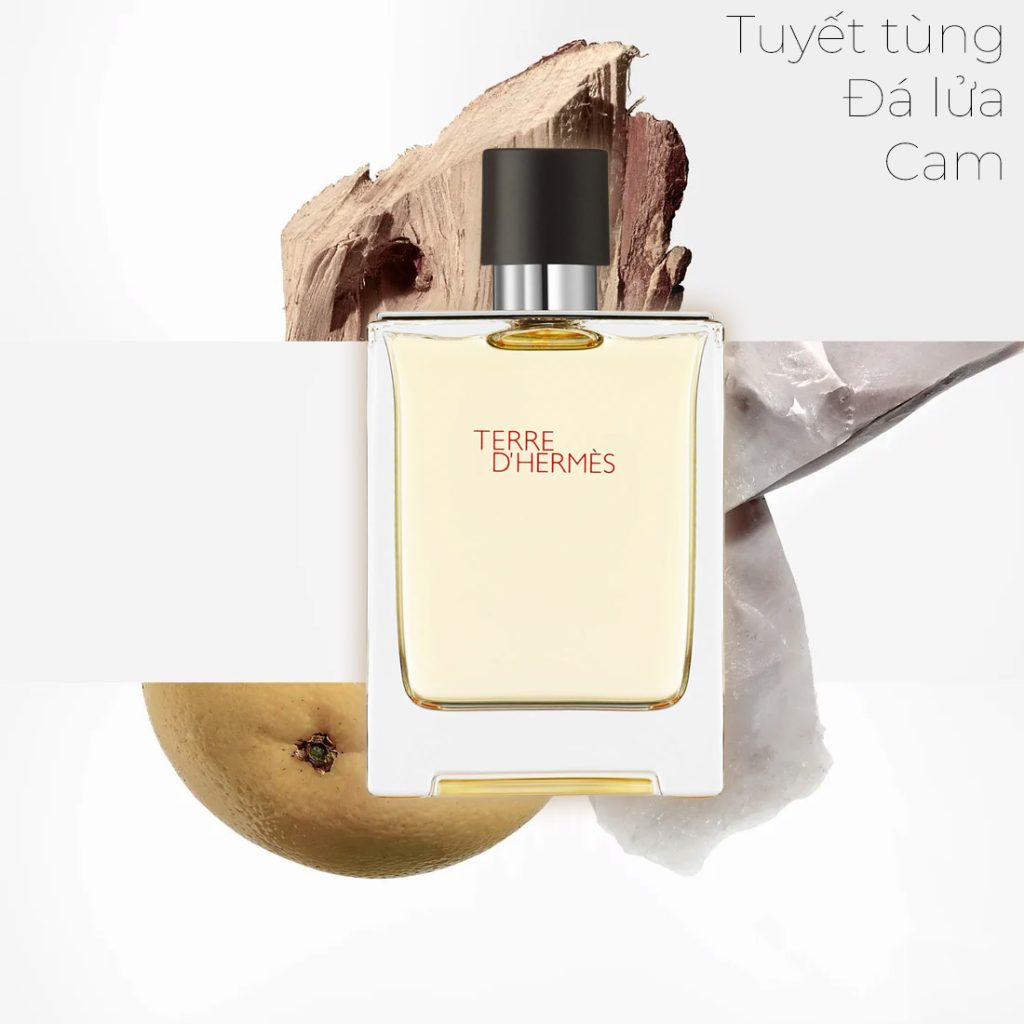 Review mùi hương Hermes Terre d'Hermès Eau de Toilette