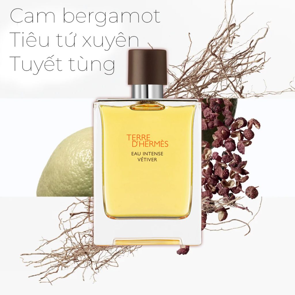 Mùi hương Hermes Terre d'Hermès Eau Intense Vétiver