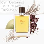 Mùi hương Hermes Terre d'Hermès Eau Intense Vétiver