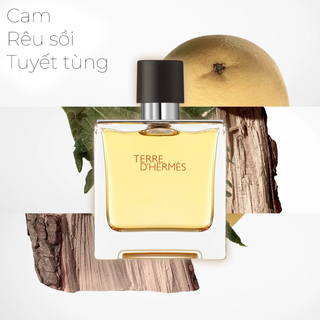 Mùi hương Hermes Terre d'Hermès Parfum