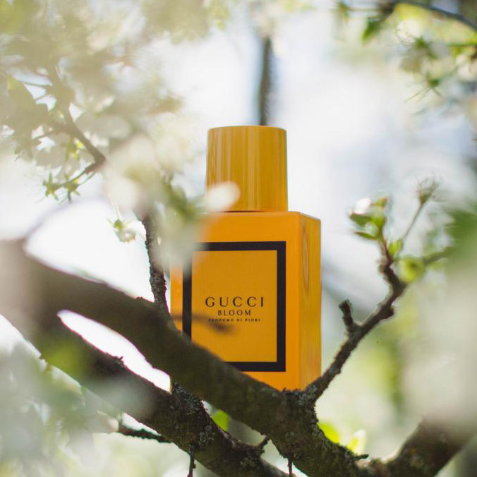 Review Nước hoa nữ Gucci Bloom Profumo di Fiori