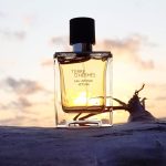 Review Hermes Terre d'Hermès Eau Intense Vétiver