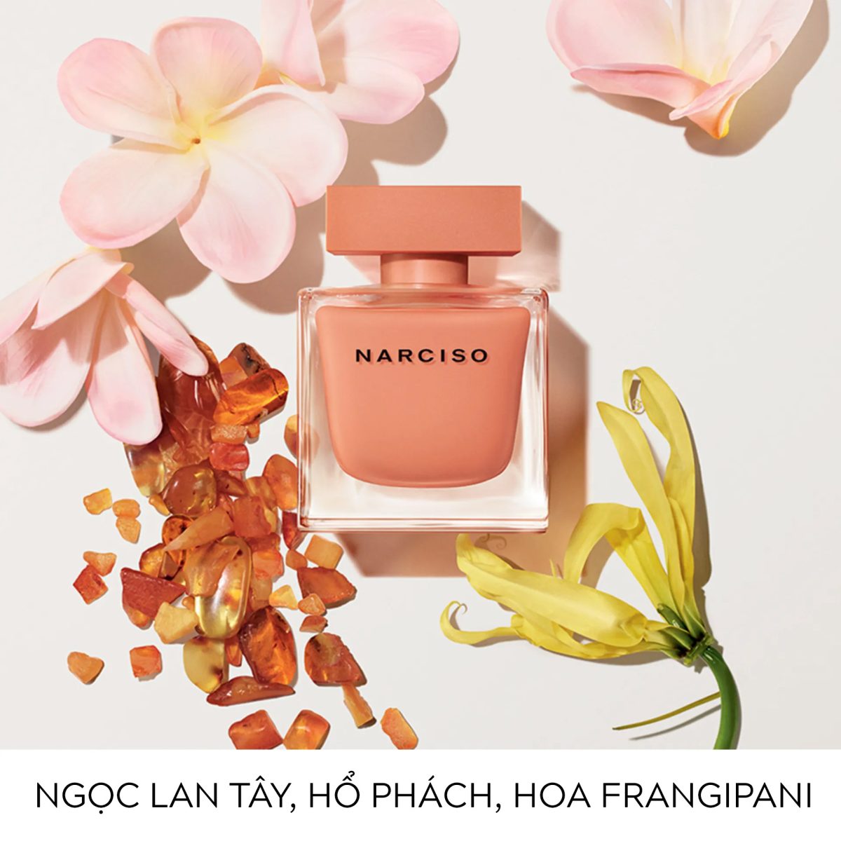 Review Mùi Hương Của Narciso Ambree Eau de Parfum