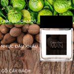 Mùi hương Calvin Klein Man Eau de Toilette