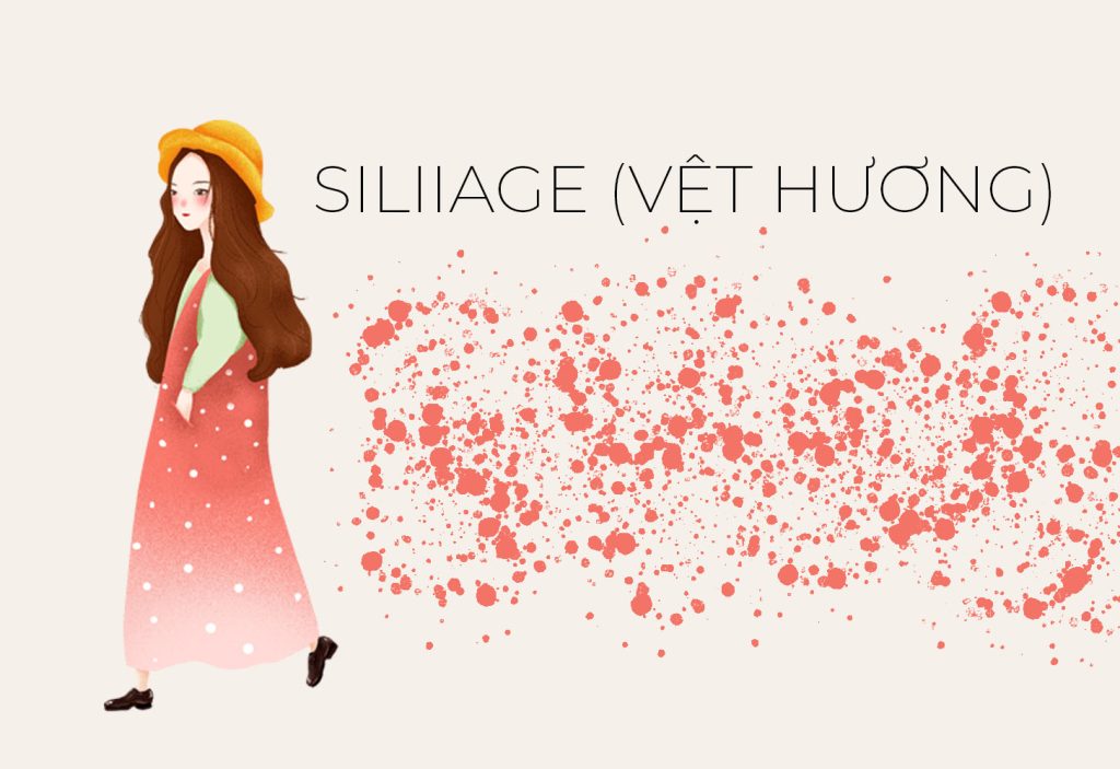 Sillage vệt hương là gì trong nước hoa