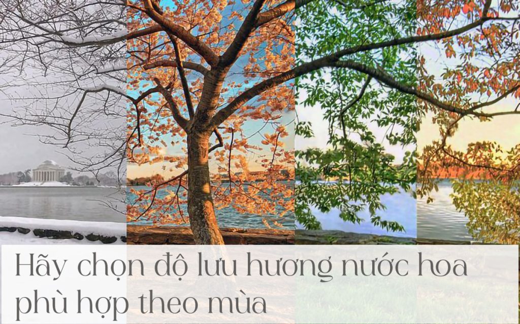 Chọn nước hoa theo mùa