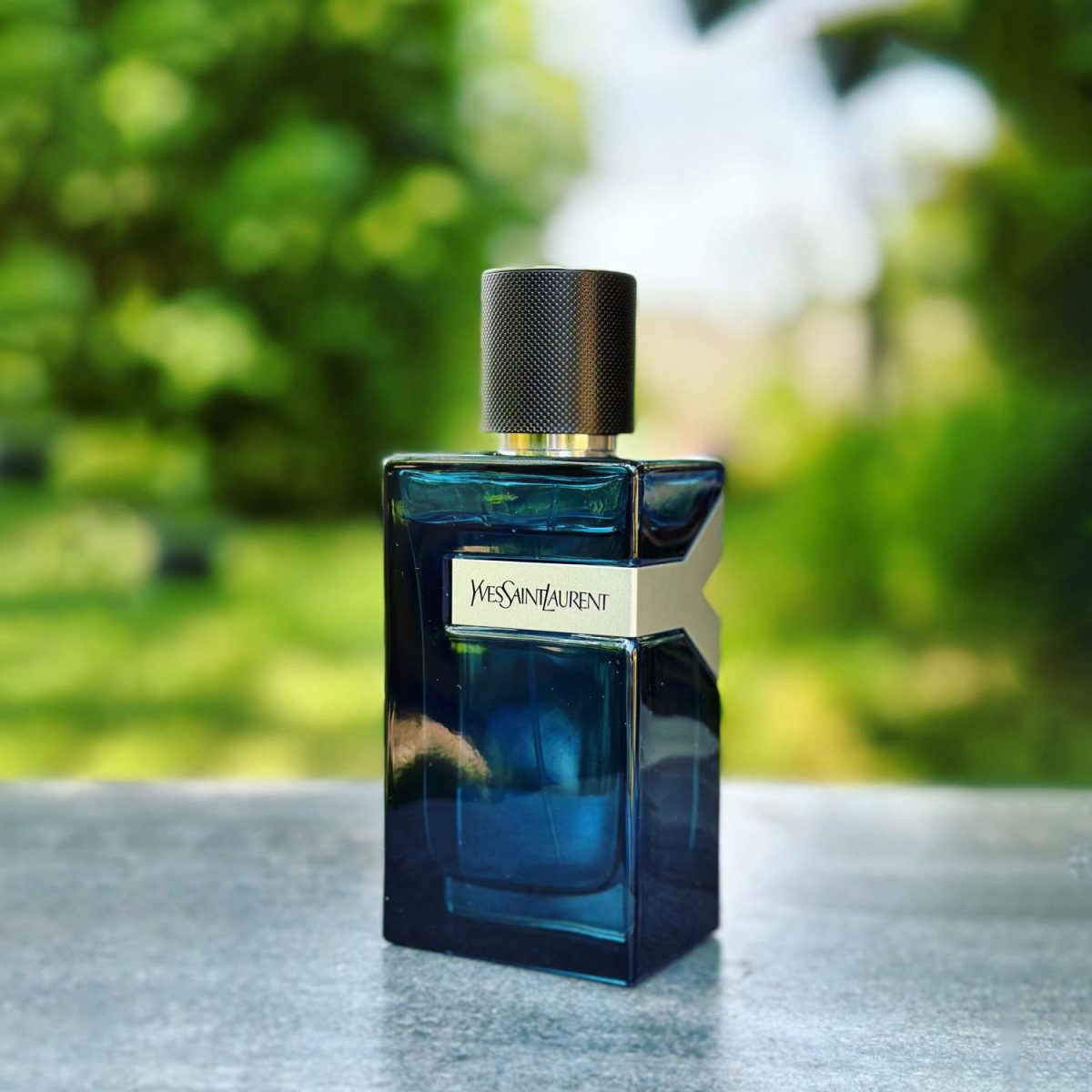 Yves Saint Laurent Y Eau de Parfum Intense